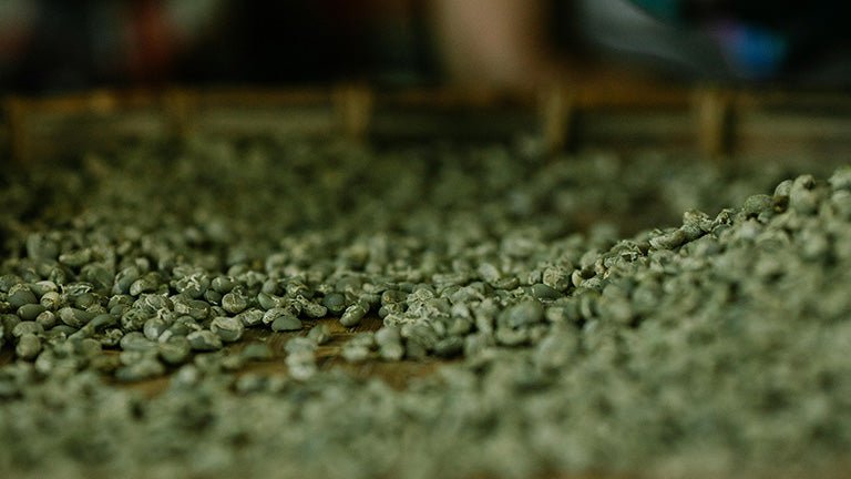 Blockchain transparency: Tracing the coffee journey - Roast28