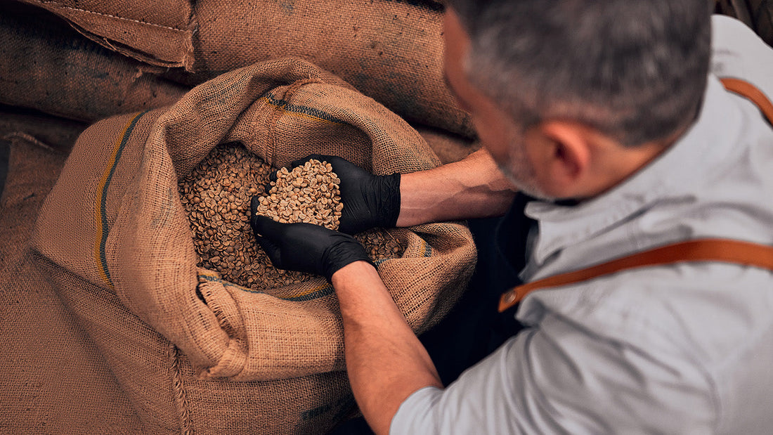 Roast28 | Challenges coffee farmers | green coffee beans
