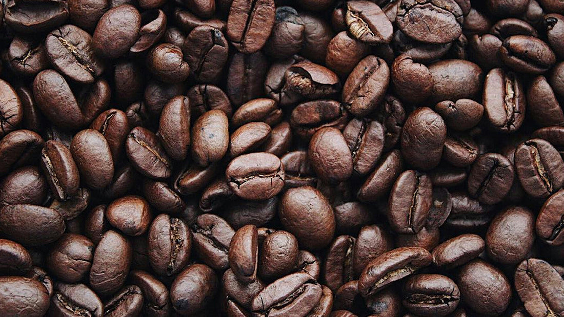 Roast28 | How light affects coffee | organic dark roast beans