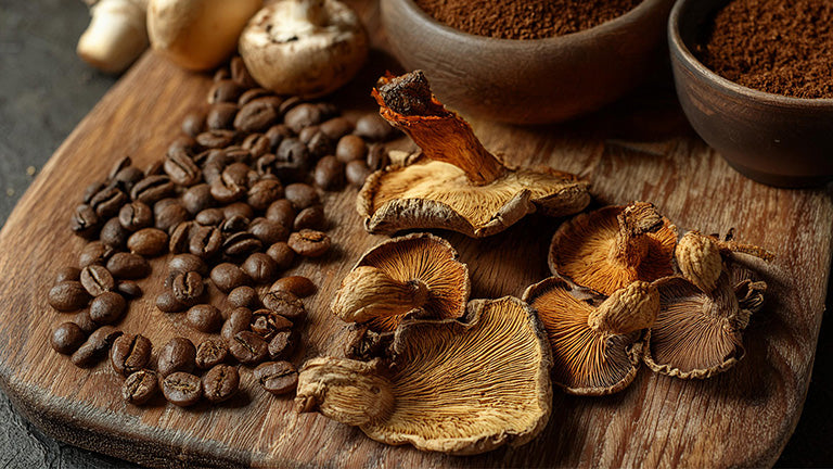 Roast28 mushroom coffee additives boost brain immune