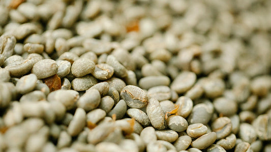 Roast28 | roasters fresh green coffee beans | Fair Trade USDA Organic certified