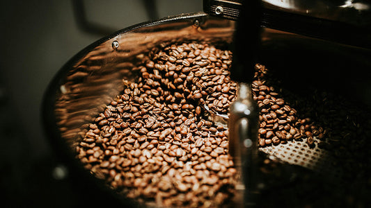 Roast28 | roasting specialty coffee standards | optimized flavor