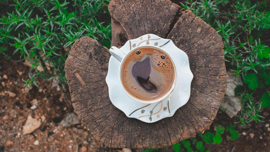 Zero-waste brewing: Eco-friendly coffee options - Roast28